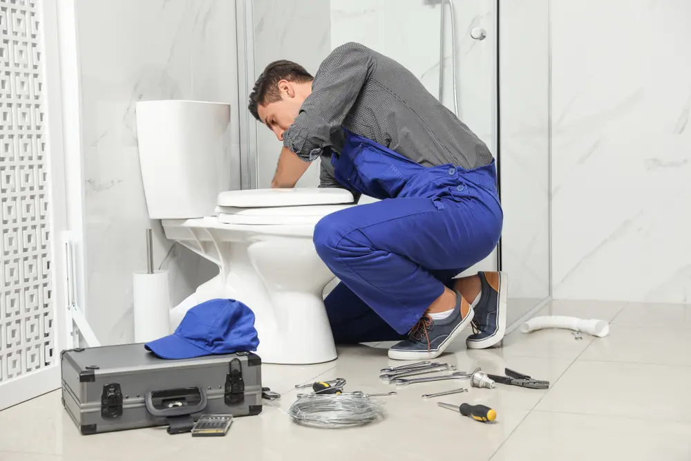 Toilet Repair in Temelec